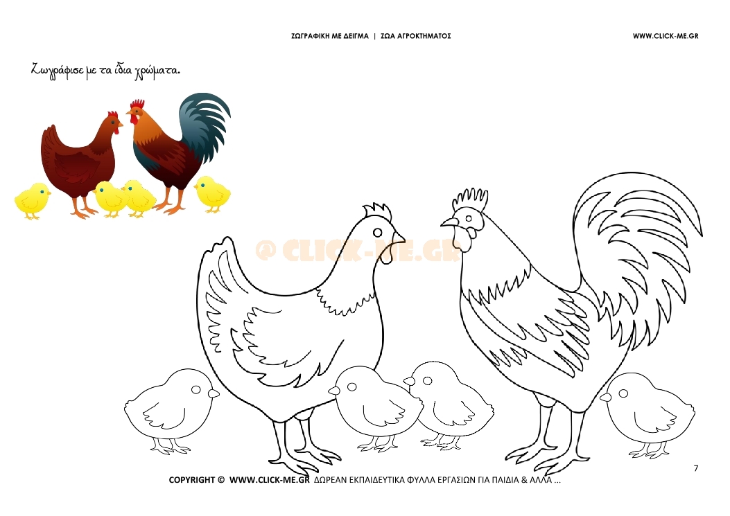 Κοτόπουλα - Ζωγραφική με έγχρωμο δείγμα Κοτόπουλα