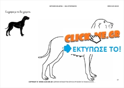 Σκυλίτσα - Ζωγραφική με έγχρωμο δείγμα Σκυλίτσα