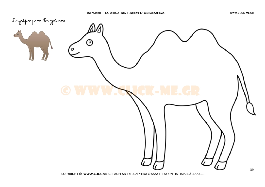 Καμήλα - Ζωγραφική με έγχρωμο δείγμα Καμήλα