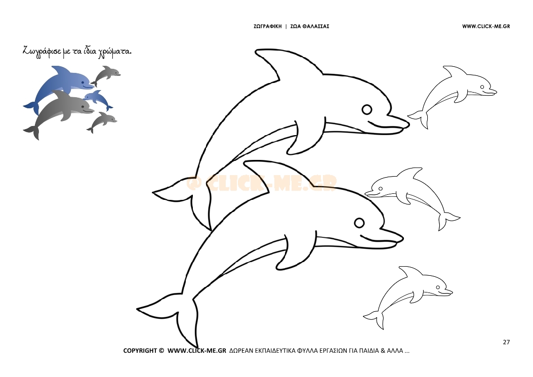 Δελφίνια - Ζωγραφική με έγχρωμο δείγμα Δελφίνια