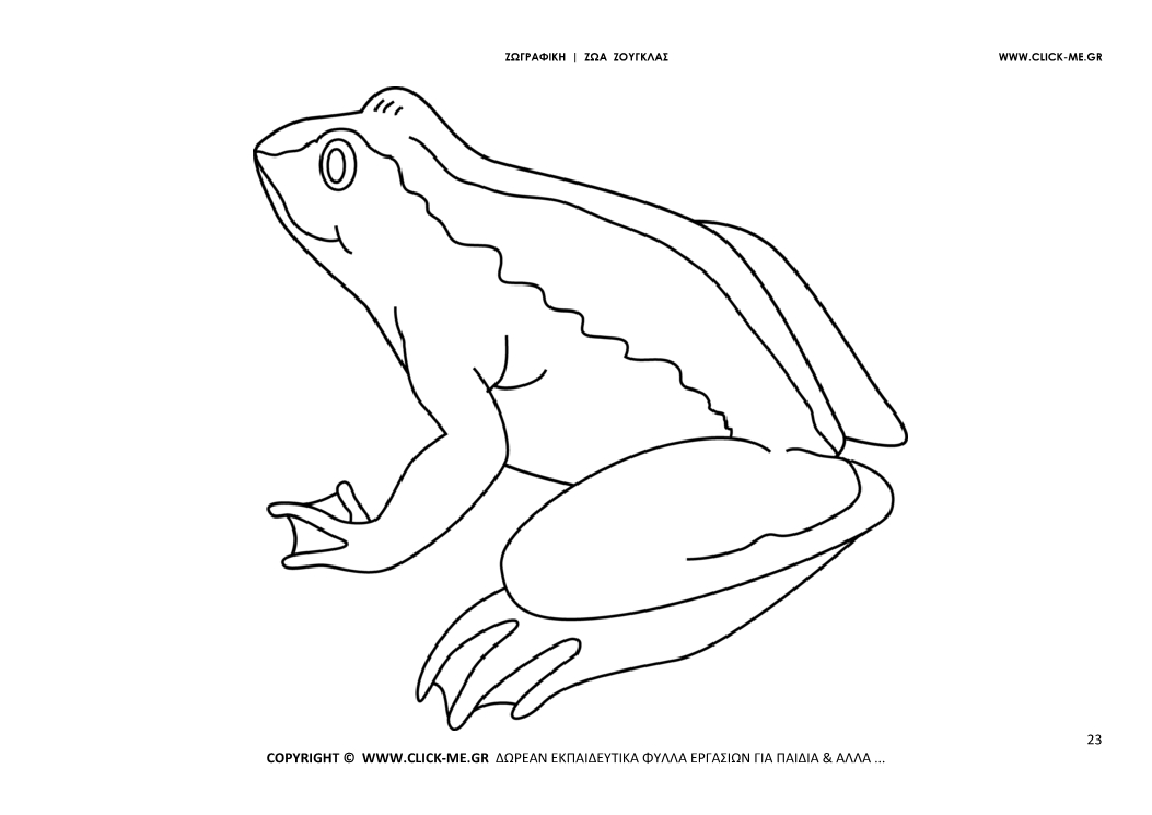 Ζωγραφιά Βάτραχος - Φύλλο Ζωγραφικής Βάτραχος